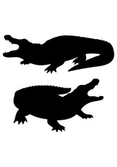 Naklejka premium Crocodile vector, crocodile silhouette illustration, collection vector of crocodile, crocodile isolated on white 