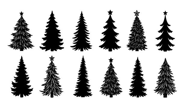 Hand drawn Christmas tree silhouettes set with fir and pine winter holiday vector