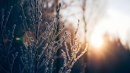 Happy new year 2026 in chinese characters on beige background with red seal