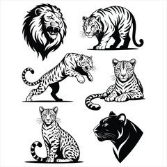 Wild Predator Animal Collection - Lion Tiger and Leopard Vector