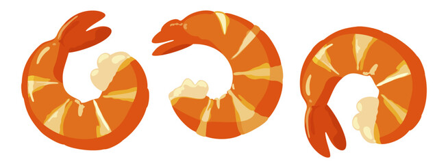 Shrimps. Vibrant vector isolated illustration