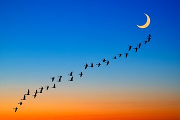 Flock of geese flying in V formation at sunset with crescent moon in deep blue sky birds