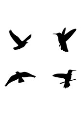 Bird flying black silhouette, bird flying vector art, vector of hummingbird collection isolated on white background