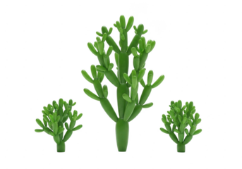 Three green plants of varying sizes isolated on transparent background