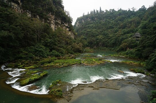 river in the forest