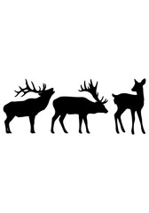 Fototapeta premium A set of deer art, deer animal vector art design, deer howling vector illustration