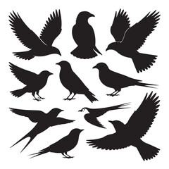 Birds silhouette (3).eps