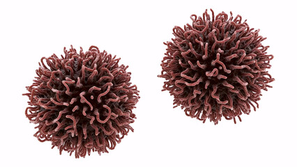 Microscopic 3D illustration of two brown cancer cells or tumor cells isolated on white background