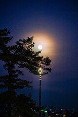 Udine. A magical Christmas atmosphere bathed in lights.