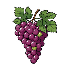 Fototapeta premium Illustration of a ripe bunch of purple grapes with green leaves, perfect for food and drink related designs