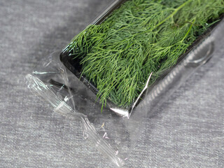 Packaging with fresh dill. Fresh herbs and spices. Bunch of dill. Spice for different dishes