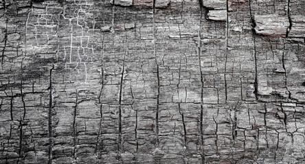 The old wood texture with natural patterns. It can be used as a background.