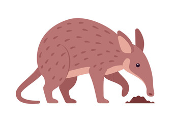 Aardvark burrowing mammal cute animal searching for food, sniffing with nose. Saharan African tube teeth Earth pig, funny friendly creature, zoo, wild life. Vector flat style cartoon illustration