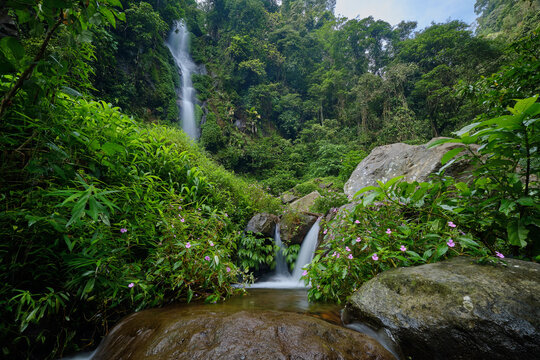 View of a cascade of water flowing down the lush, verdant Semirang Waterfall, amidst the vibrant greenery of the surrounding forest, Semarang Regency, Central Java, Indonesia.