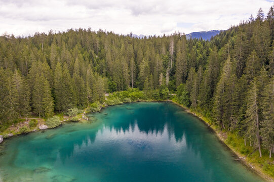 Aerial view of the shimmering turquoise waters of lake Cauma nestled amidst a dense forest of evergreens, creating a serene contrast of cool blues and vibrant greens, Flims, Grisons, Switzerland.