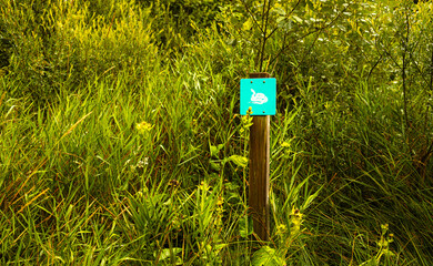 a snake warning sign in the nature