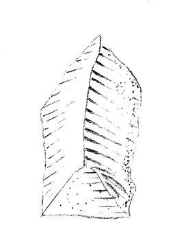 vector of Mesolithic age scraper, lithic industry, hand drawn