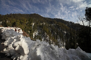 View of a snow-laden road winding beside a verdant mountain cloaked in dense forest under a sky streaked with cirrus clouds, Nathia Gali, Khyber Pakhtunkhwa, Pakistan.