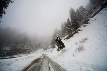 View of a snow-covered road winding through a winter wonderland of frosted trees under a misty sky, creating a serene scene, Nathia Gali, Khyber Pakhtunkhwa, Pakistan.