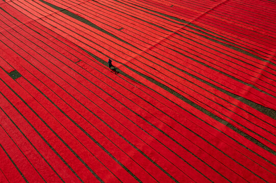 Aerial view of vibrant red fabrics stretch out in parallel lines, creating a striking contrast with the dark green ground, Narsingdi, Dhaka Division, Bangladesh.