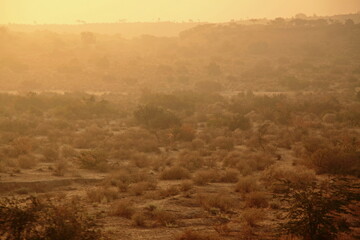 View of hazy landscape bathed in golden light, with sparse vegetation and distant hills, creating a serene and arid panorama, Mithi, Sindh, Pakistan.