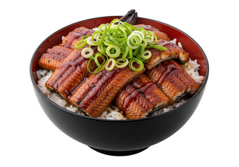 Japanese Unadon Eel Rice Bowl with Leeks on White