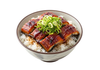 Japanese Unagi Donburi Bowl With Grilled Eel and Rice