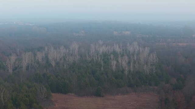 Aerial view of a mixed forest with evergreen trees and leafless deciduous woodland extending into the distance. Suitable for forestry, conservation, environmental, and nature projects.