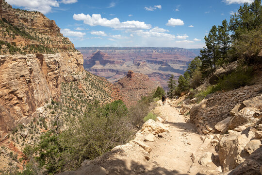 Grand Canyon National Park hiking trail view