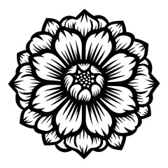 Intricate Black and White Line Art Flower Blossom