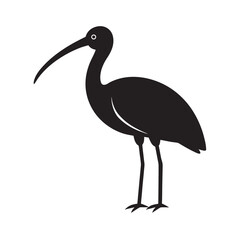 Obraz premium Flat Style Ibis Standing Wading Bird Silhouette