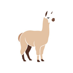 A cute cartoon llama standing on a white background.
