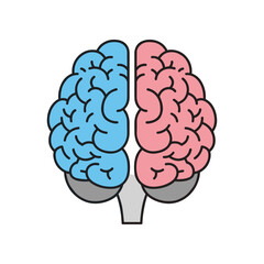 Fototapeta premium Human brain illustration depicting cognitive functions and mental processes.