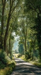 Obraz premium Scenic Drive Down a Long Country Road Lined With Green Trees and Grass