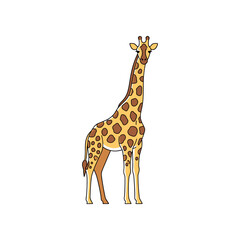 Illustration of a Giraffe with Brown Spots and Long Neck.