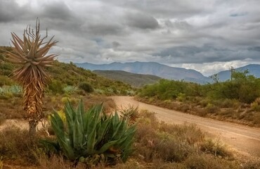 Storm clouds over the Swartberg.