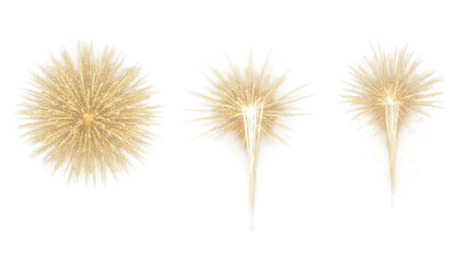 Obraz premium Golden sparkler fireworks set