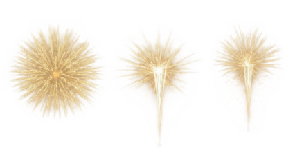 Golden sparkler fireworks set