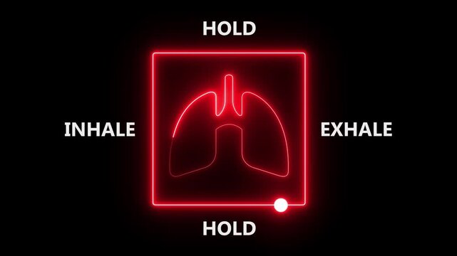 Lungs icon with breathing cycle timeline respiratory. neon anatomy lungs, breathing cycle. neon breathing exercise showing the four stages: inhale, hold, exhale, and hold, with lung icon.