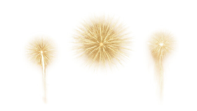 Golden sparkler fireworks set - Powered by Adobe