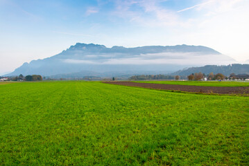 Fototapeta premium Agricultural Field in Bavaria - Germany