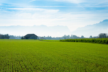 Fototapeta premium Agricultural Field Salzburg Region - Austria