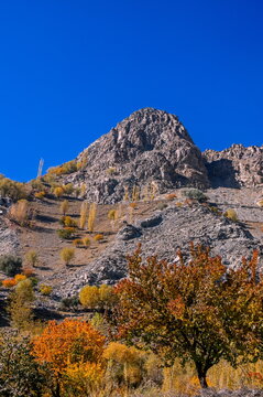 View of rugged mountainsides painted with autumnal hues beneath a boundless azure sky, blending the harsh rock with the soft glow of fall, Khaplu, Gilgit Baltistan, Pakistan.