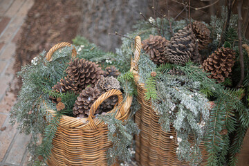 Cone and branch of fir-tree on basket