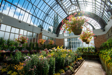 Temperate House at the Auckland Domain Wintergardens - New Zealand