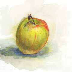 Apple. A sketch in watercolor and colored pencils.