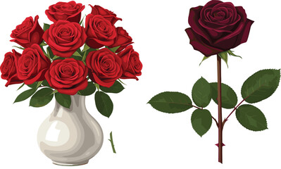 Romantic red rose bouquet in white ceramic vase and single dark burgundy rose stem isolated on white background.