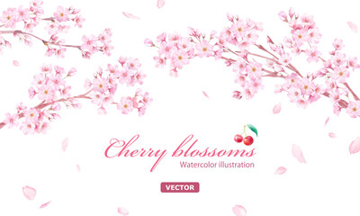 桜と散る花びらの水彩イラスト。アーチ型フレームデザイン。背景。（ベクター）

