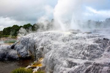 Pohutu Geyser in Rotorua - New Zealand