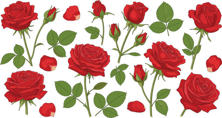 Large collection of individual red rose stems with green leaves and scattered petals isolated on white background vector.